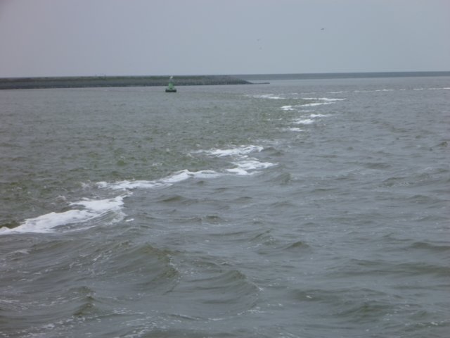 2011 Zeilen035.jpg